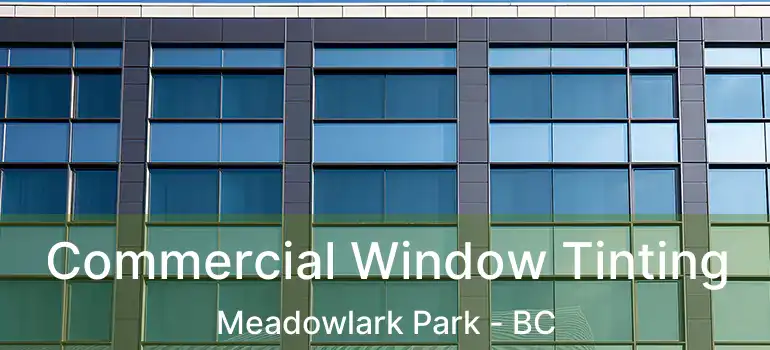  Commercial Window Tinting Meadowlark Park - BC