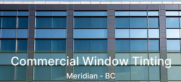  Commercial Window Tinting Meridian - BC