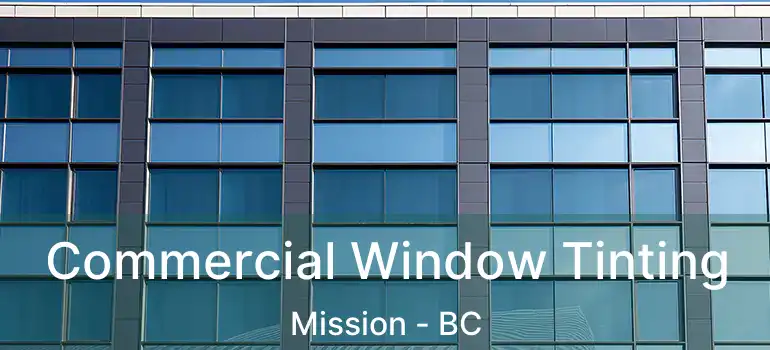  Commercial Window Tinting Mission - BC