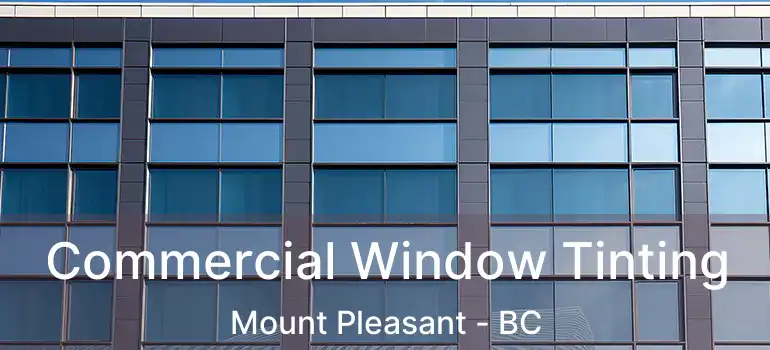  Commercial Window Tinting Mount Pleasant - BC