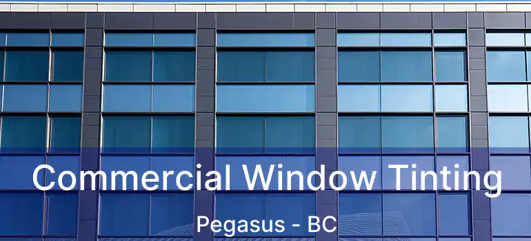  Commercial Window Tinting Pegasus - BC