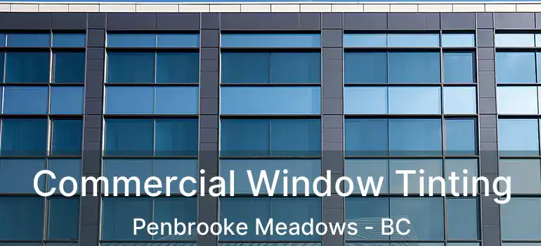  Commercial Window Tinting Penbrooke Meadows - BC