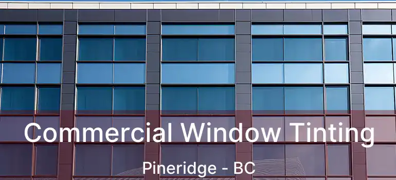  Commercial Window Tinting Pineridge - BC