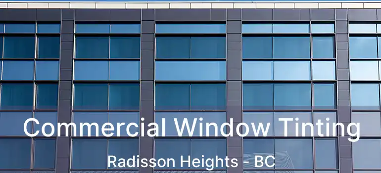  Commercial Window Tinting Radisson Heights - BC