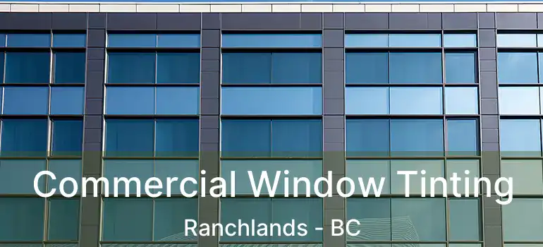  Commercial Window Tinting Ranchlands - BC