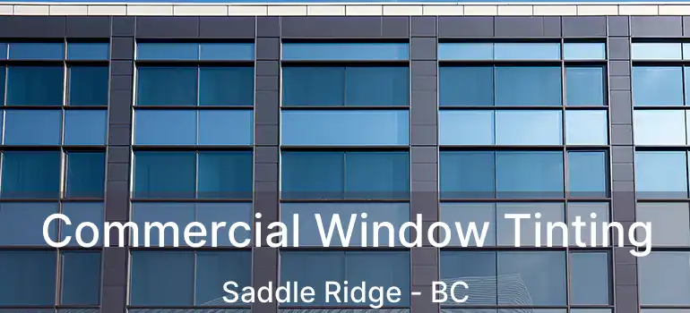  Commercial Window Tinting Saddle Ridge - BC