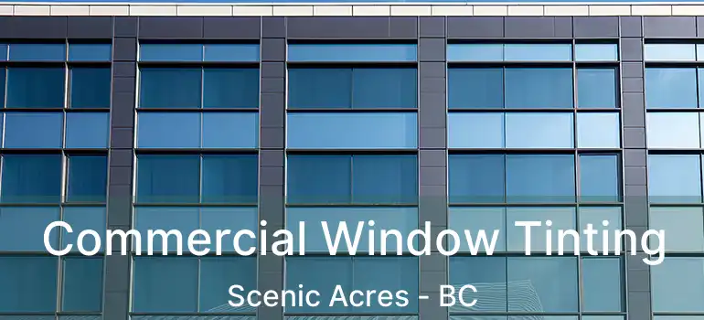  Commercial Window Tinting Scenic Acres - BC