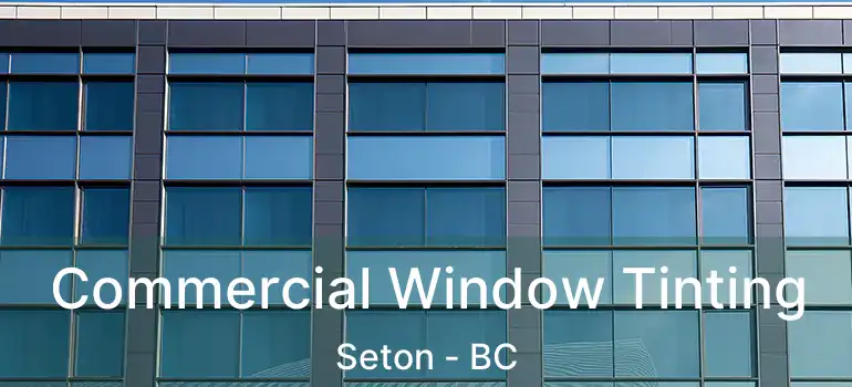  Commercial Window Tinting Seton - BC