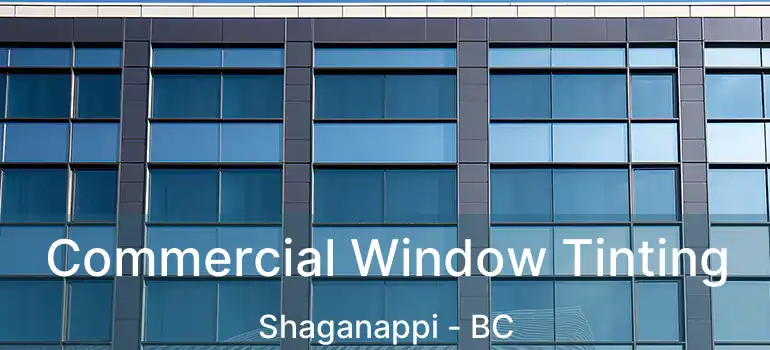  Commercial Window Tinting Shaganappi - BC