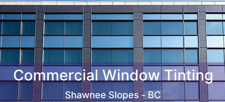  Commercial Window Tinting Shawnee Slopes - BC
