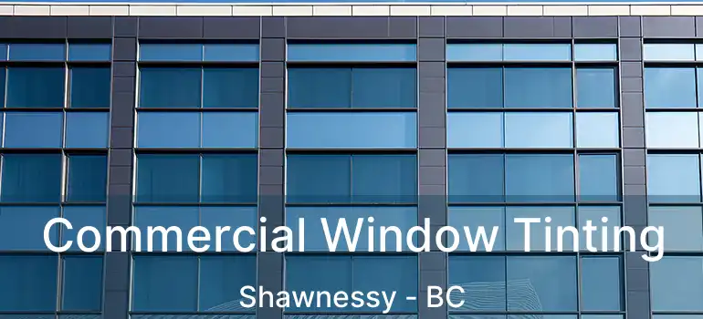  Commercial Window Tinting Shawnessy - BC