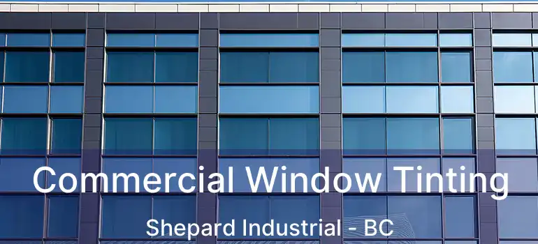  Commercial Window Tinting Shepard Industrial - BC