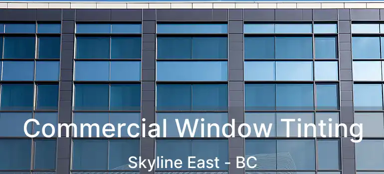  Commercial Window Tinting Skyline East - BC