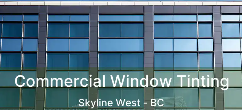  Commercial Window Tinting Skyline West - BC