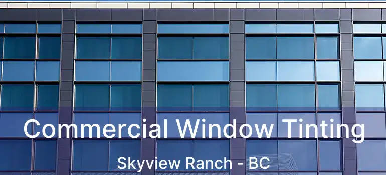 Commercial Window Tinting Skyview Ranch - BC