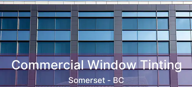  Commercial Window Tinting Somerset - BC