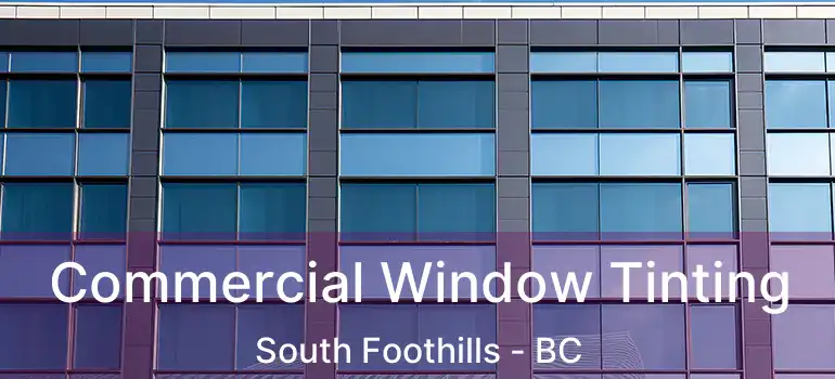  Commercial Window Tinting South Foothills - BC