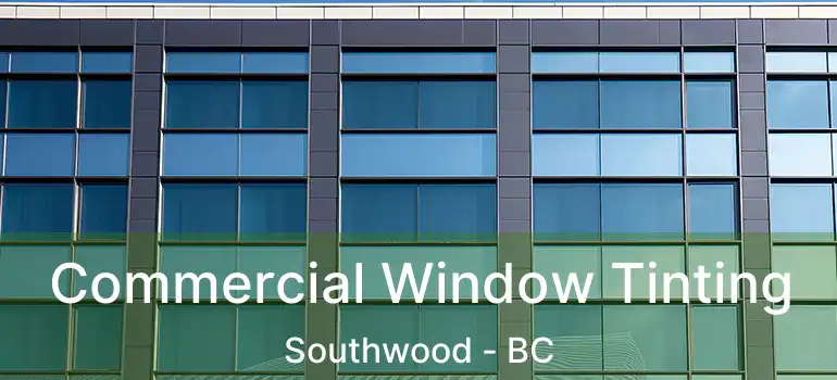  Commercial Window Tinting Southwood - BC