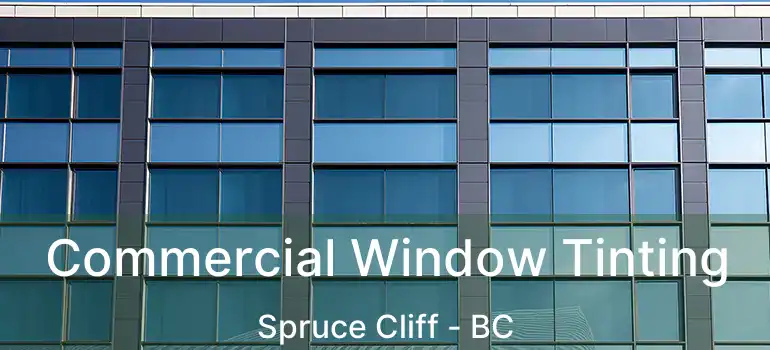  Commercial Window Tinting Spruce Cliff - BC