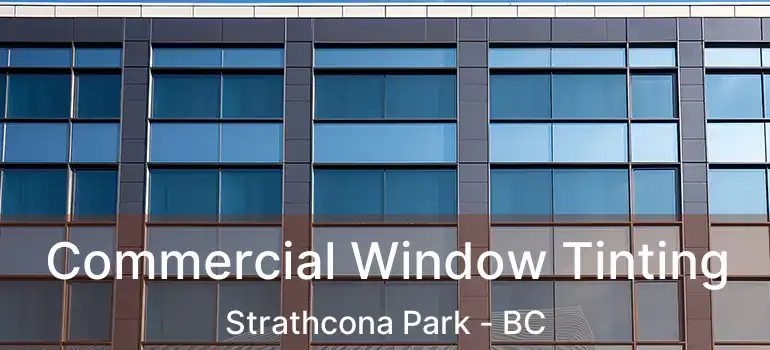  Commercial Window Tinting Strathcona Park - BC