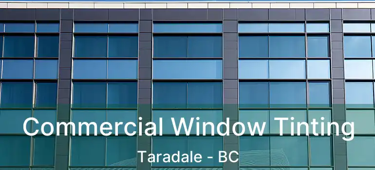  Commercial Window Tinting Taradale - BC