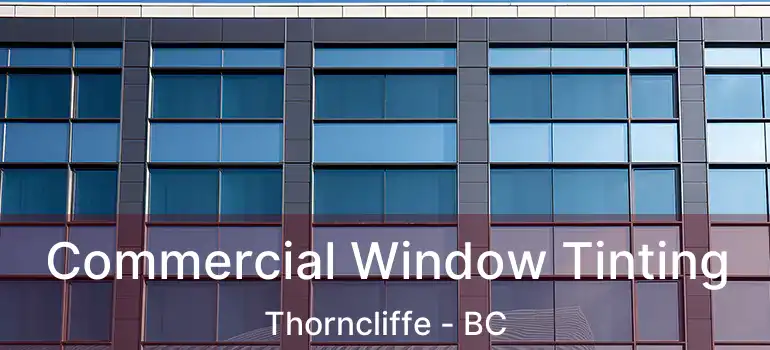  Commercial Window Tinting Thorncliffe - BC