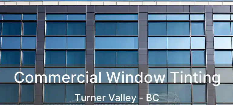  Commercial Window Tinting Turner Valley - BC