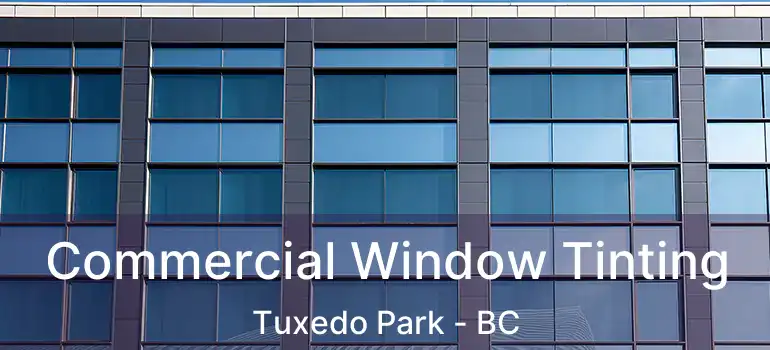  Commercial Window Tinting Tuxedo Park - BC