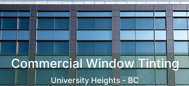  Commercial Window Tinting University Heights - BC