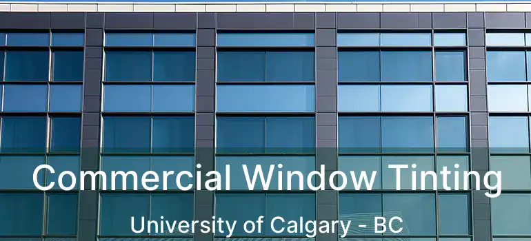  Commercial Window Tinting University of Calgary - BC