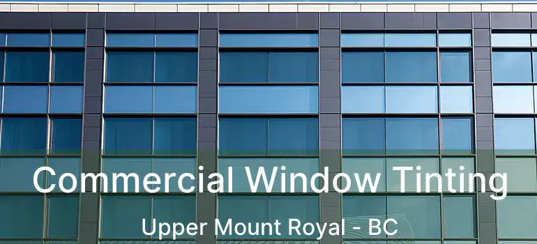  Commercial Window Tinting Upper Mount Royal - BC