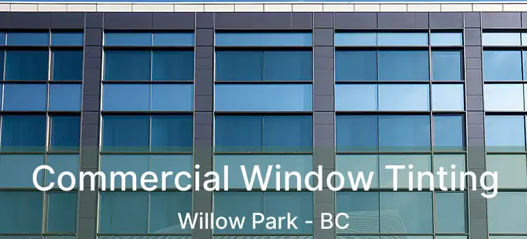  Commercial Window Tinting Willow Park - BC