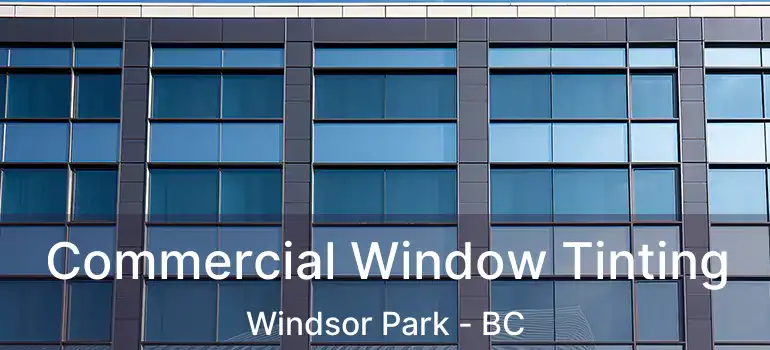  Commercial Window Tinting Windsor Park - BC