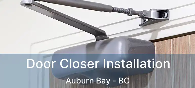  Door Closer Installation Auburn Bay - BC