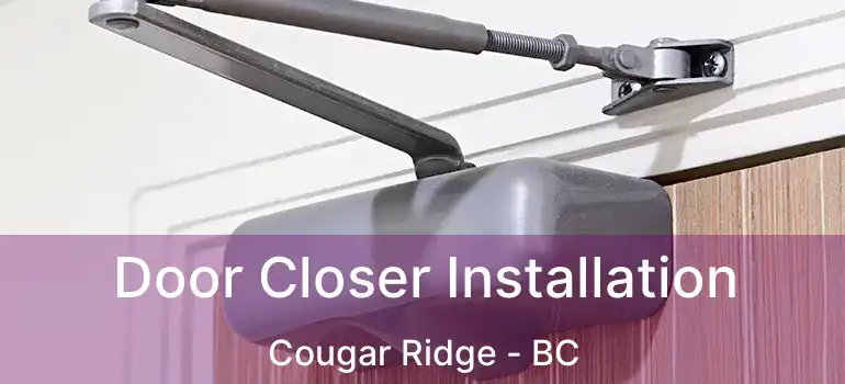  Door Closer Installation Cougar Ridge - BC