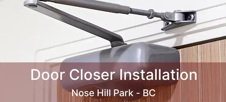  Door Closer Installation Nose Hill Park - BC