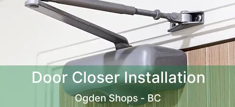  Door Closer Installation Ogden Shops - BC