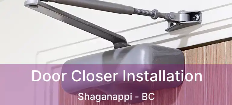  Door Closer Installation Shaganappi - BC