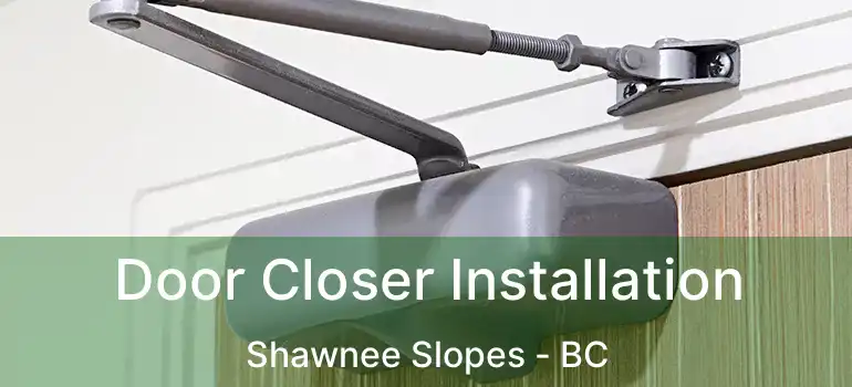 Door Closer Installation Shawnee Slopes - BC