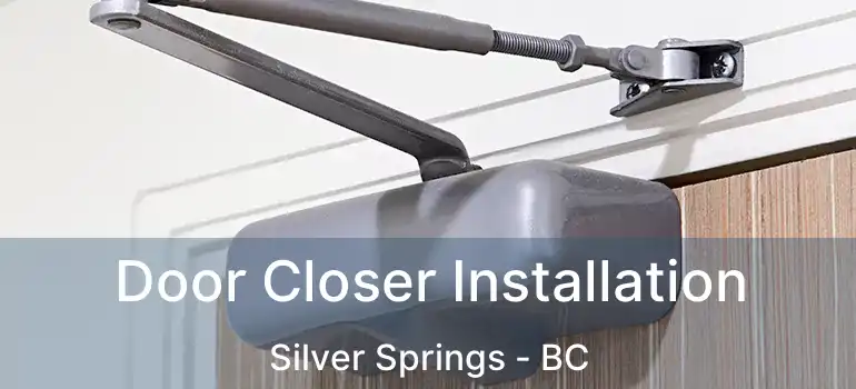  Door Closer Installation Silver Springs - BC