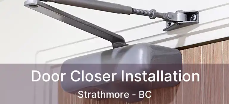  Door Closer Installation Strathmore - BC