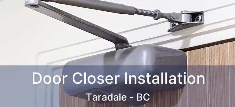  Door Closer Installation Taradale - BC