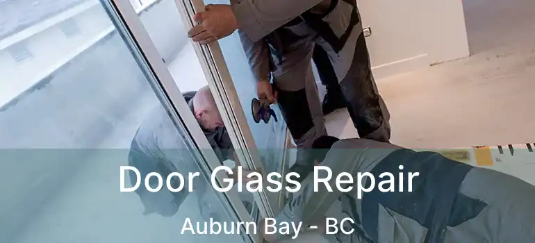  Door Glass Repair Auburn Bay - BC