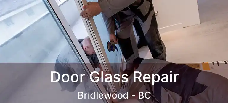  Door Glass Repair Bridlewood - BC