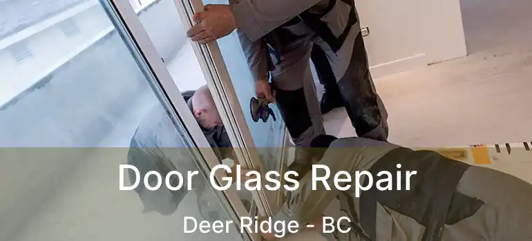  Door Glass Repair Deer Ridge - BC