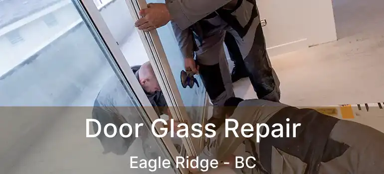  Door Glass Repair Eagle Ridge - BC