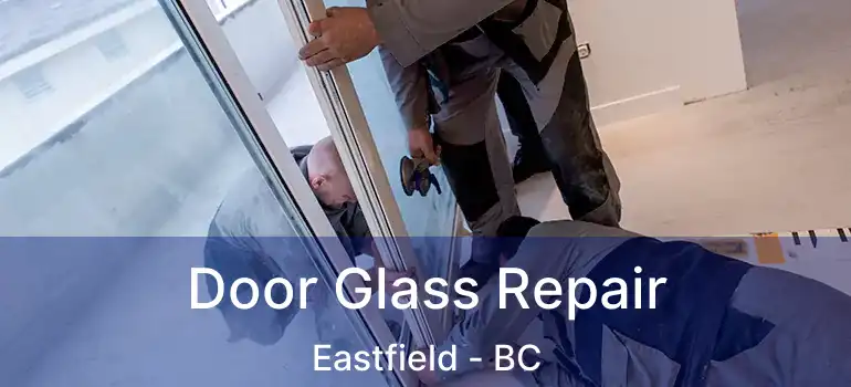  Door Glass Repair Eastfield - BC