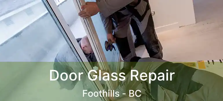  Door Glass Repair Foothills - BC