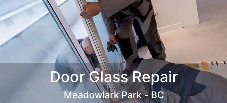  Door Glass Repair Meadowlark Park - BC