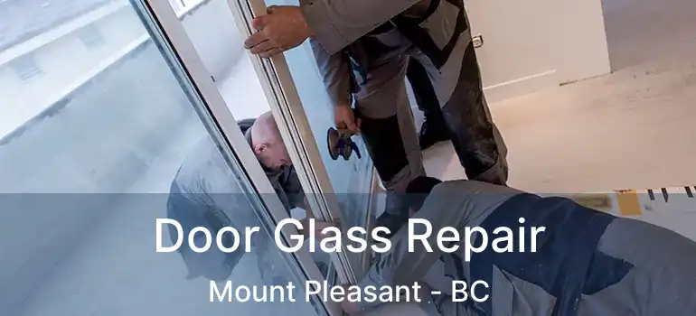  Door Glass Repair Mount Pleasant - BC